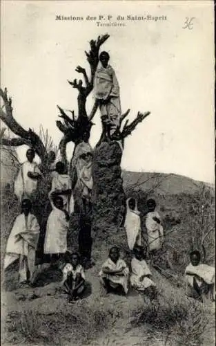 Ak Missionen der Väter des Heiligen Geistes, Termiten