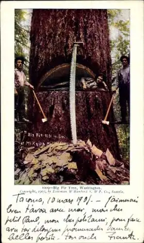 Ak Washington USA, Holzfäller, riesiger Baumstamm