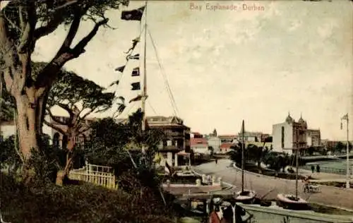Ak Durban Südafrika, Bay Esplanade, Gebäude, Schiff, Bäume,  Architektur