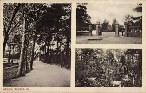 Ak Geelong Victoria Australien, in den Gärten