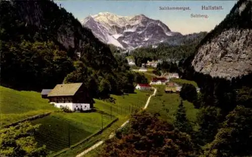 Ak Hallstatt im Salzkammergut Oberösterreich, Berglandschaft,  Salzberg, Häuser, Wald
