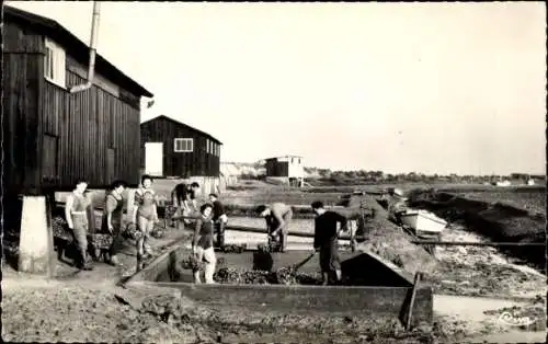 Ak La Barre de Monts Vendée, Austernzucht, Arbeiter, Holzgebäude, Boote, Küstenlandschaft