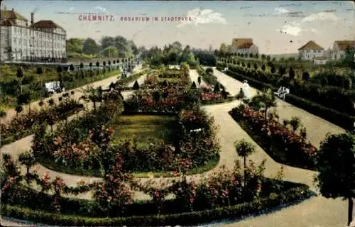 Ak Chemnitz in Sachsen, Rosarium im Stadtpark
