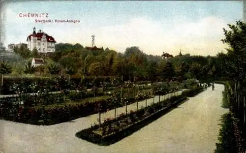 Ak Chemnitz in Sachsen, Stadtpark Rosen-Anlagen, schöne Blumenbeete, Weg, Gebäude im Hintergrund
