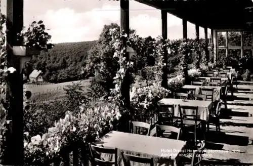 Ak Hoheleye Winterberg im Sauerland, Restaurant mit Außensitzplätzen, blühende Pflanzen, ländlich