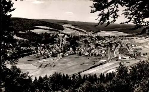 Ak Bad Berleburg in Westfalen, Luft- und Kneippkurort  Blick vom Limburg, Landschaft, Häuser, Bäu