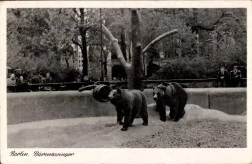 Ak Berlin Tiergarten, Zoologischer Garten, Bärenzwinger