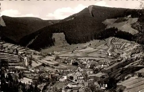 Ak Oberschönau Steinbach Hallenberg im Thüringer Wald, Panorama