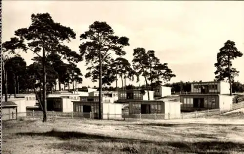 Ak Ostseebad Ahlbeck auf Usedom, Urlauberdorf, Ostseebad  Mehrere Ferienhäuser, Kiefernbäume