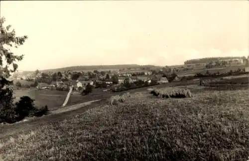 Ak Thüringer Wald, Hohe Möst, Landschaftsaufnahme, Hügel, Weideland, Häuser, Bäume