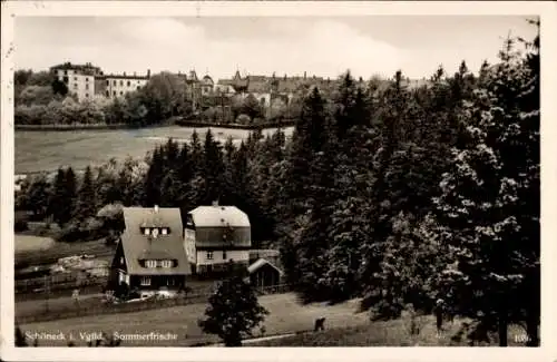 Ak Schöneck im Vogtland, Landschaftsaufnahme, Wald, Gebäude, Schwarz-Weiß, Sommerfrische