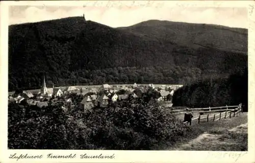 Ak Freienohl Meschede im Sauerland, Gesamtansicht
