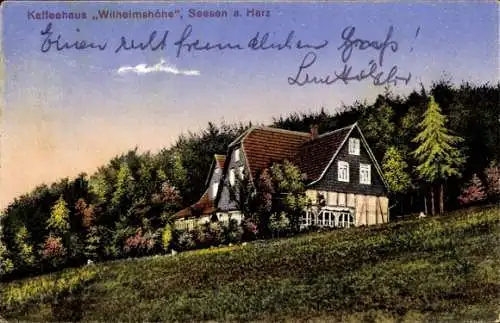 Ak Seesen am Harz, Kaffeehaus Wilhelmshöhe, idyllische Landschaft, gemütliche Architektur