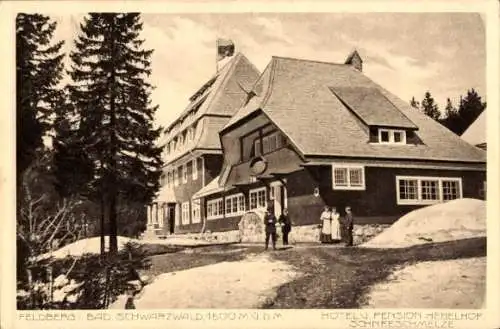 Ak Feldberg im Schwarzwald, Hotel Pension Hebelhof