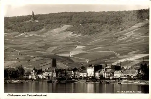 Ak Rüdesheim am Rhein, Rüdesheim mit Nationaldenkmal, Weinbau-Terrassen, Rhein