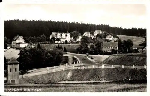Ak Bockswiese Goslar im Harz, Teilansicht