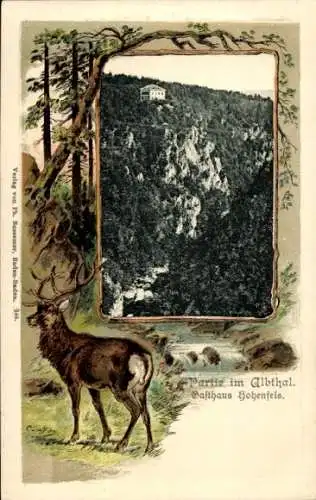 Ak Albtal St. Blasien im Schwarzwald, Gasthaus Hohenfels