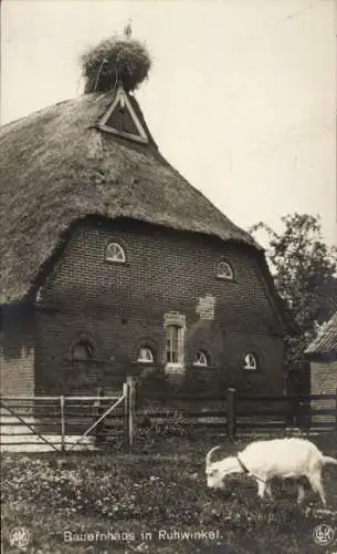 Ak Ruhwinkel in Schleswig Holstein, Bauernhaus, Storchennest, Ziege, Reetdach