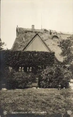 Ak Wilstermarsch, Bauernhof in Goldbogen