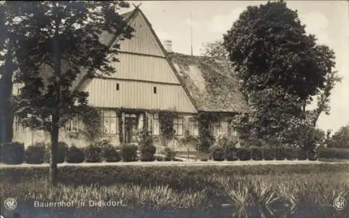 Ak Diekdorf Nortorf Wilstermarsch, Bauernhof in  ländliche Architektur, großzügige Gartenanlage