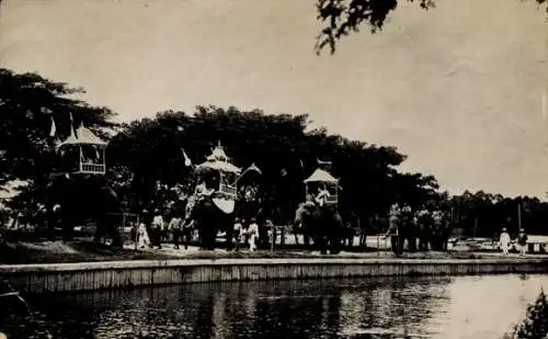 CPA Malaisie, Les Eléphants du Sultan de Johore