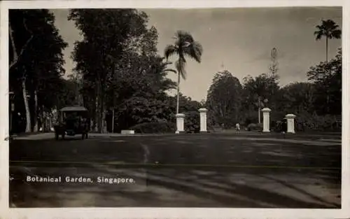 Ak Singapore Singapur, Botanischer Garten