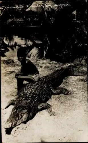 Ak Singapore Singapur, Malay Bay, Krokodil
