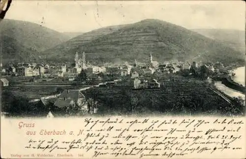 Ak Eberbach am Neckar Odenwald Baden, Panorama