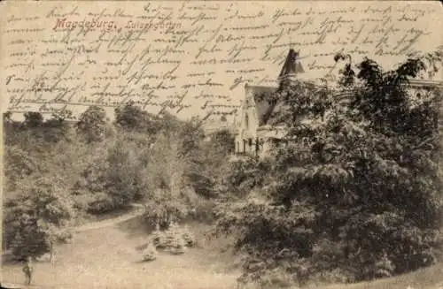 Ak Magdeburg an der Elbe,  Luisengarten