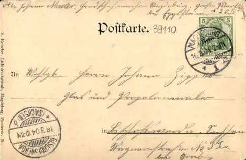 Ak Magdeburg an der Elbe,  Luisengarten