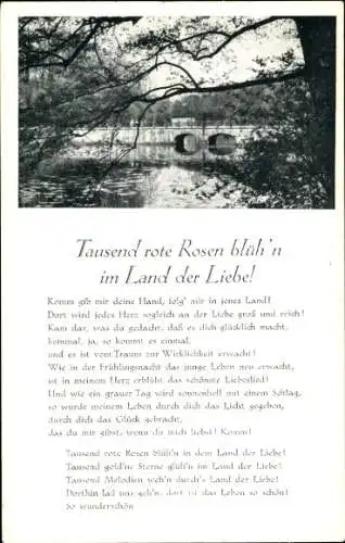 Lied Ak Tausend rote Rosen blüh'n im Land der Liebe!