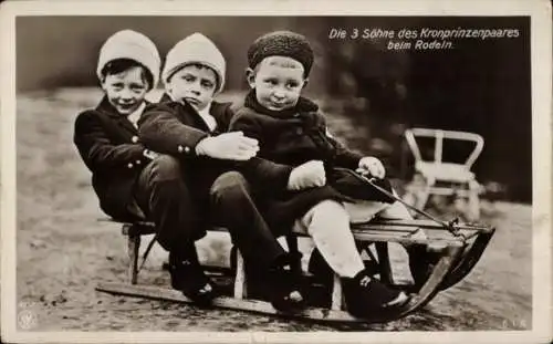 Ak Drei Söhne des Kronprinzenpaares beim Rodeln, Prinz Wilhelm v. Preußen, Louis Ferdinand, Hubertus