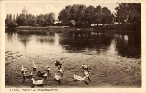 Ak Breda Nordbrabant Niederlande, Auf der Vorderseite ist ein Teich im Wilhelminapark in Breda...