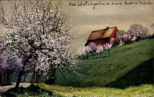 Ak Ortspartie, Fachwerkhaus, Baumblüte