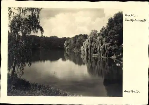 Ak Berlin, Im Grunewald, Max Baur Nr. B 40
