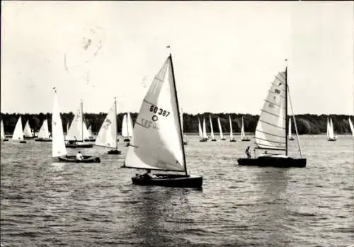 Ak Berlin Köpenick Schmöckwitz, See, Segelboote