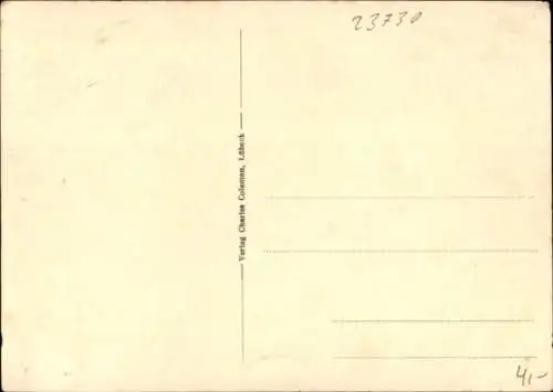 Ak Neustadt in Holstein, Panorama, Luftaufnahme