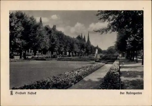 Ak Hansestadt Rostock, Rosengarten