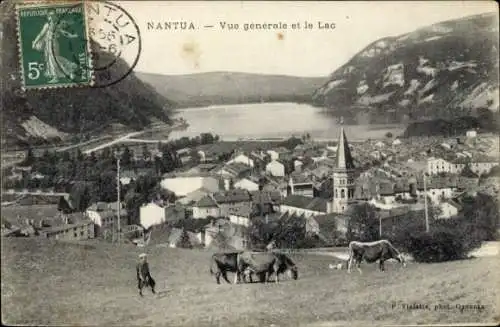 Ak Nantua Ain, Stadtansicht mit See, Hügel, Kühe, Kirche, Fotografie von Vialatte