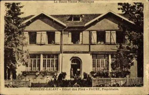 Ak Bussiere Galant Haute Vienne, Hotel des Pins