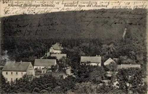 Ak Kapsdorf Lossatal Sachsen, Restaurant Richard Baum und Löben Berg, Waldlandschaft