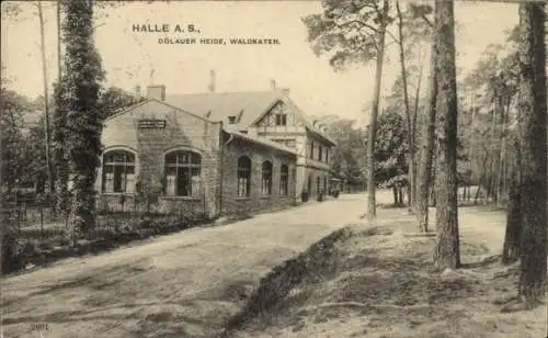 Ak Dölauer Heide Halle an der Saale, Dölauer Heide, Waldkater, Gebäude mit Flur, Straße, Bäume