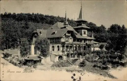 Ak Zürich Stadt Schweiz, Waldhaus Dolder, Garten