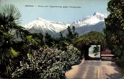 Ak Meran Merano Südtirol, Berglandschaft, Tappeinerweg, Texelgruppe, blühende Pflanzen
