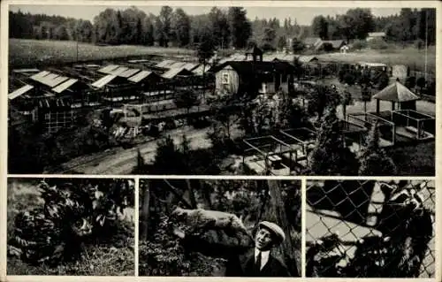 Ak Isabellengrün Burgk in Thüringen, Pelztierfarm Saaletalsperre, Tierpark, Eule, Fuchs, Waschbären