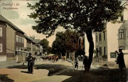 Ak Oberhof im Thüringer Wald, Hauptstraße, Pferdegespanne,  Gebäude, Baum, Menschen