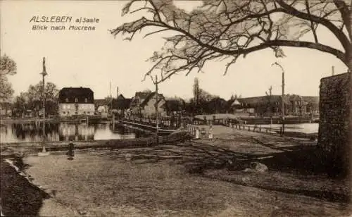 Ak Alsleben an der Saale, Wasserlandschaft, Häuser, Bäume, Blick auf Mucrena