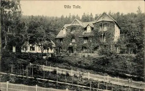 Ak Bad Suderode Quedlinburg im Harz, Villa Tolle, alte Gebäude, umgeben von Bäumen, Zaun