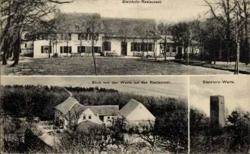 Ak Quedlinburg im Harz, Steinholz-Restaurant, Blick von der Warte, Wald, Aussichten