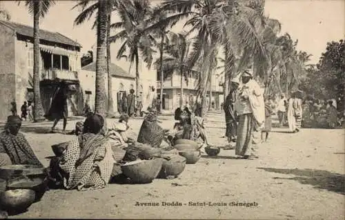 Ak Saint Louis Senegal, Avenue Dodds, Szene mit Verkäufern, Palmengelände
